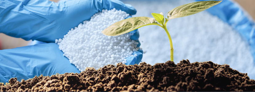 A guerra na Ucrânia e seu impacto na agricultura brasileira: fertilizantes